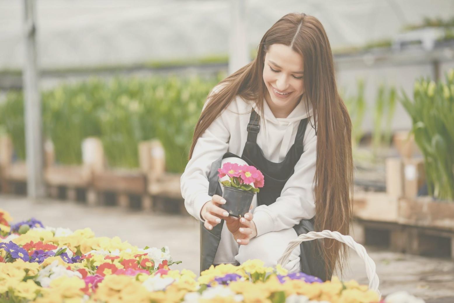 Talentrise eğitim ortamı ve başarılı öğrenciler